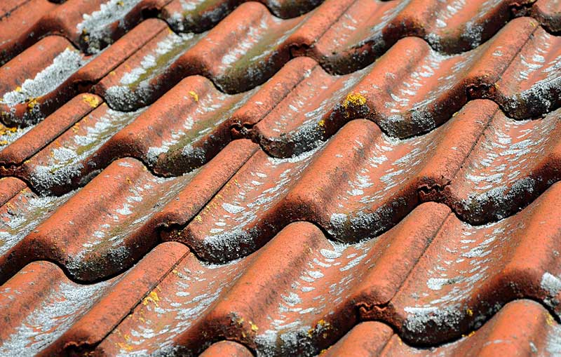 Entretien et nettoyage de toiture dans le 04